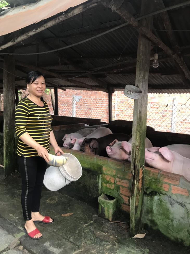 Phụ nữ xã Thạnh Tây phát huy hiệu quả chăn nuôi từ nguồn vốn vay của Ngân hàng CSXH