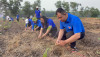 Tân Biên phát động Tết trồng cây “Đời đời nhớ ơn Bác Hồ” Xuân Giáp Thìn năm 2024.