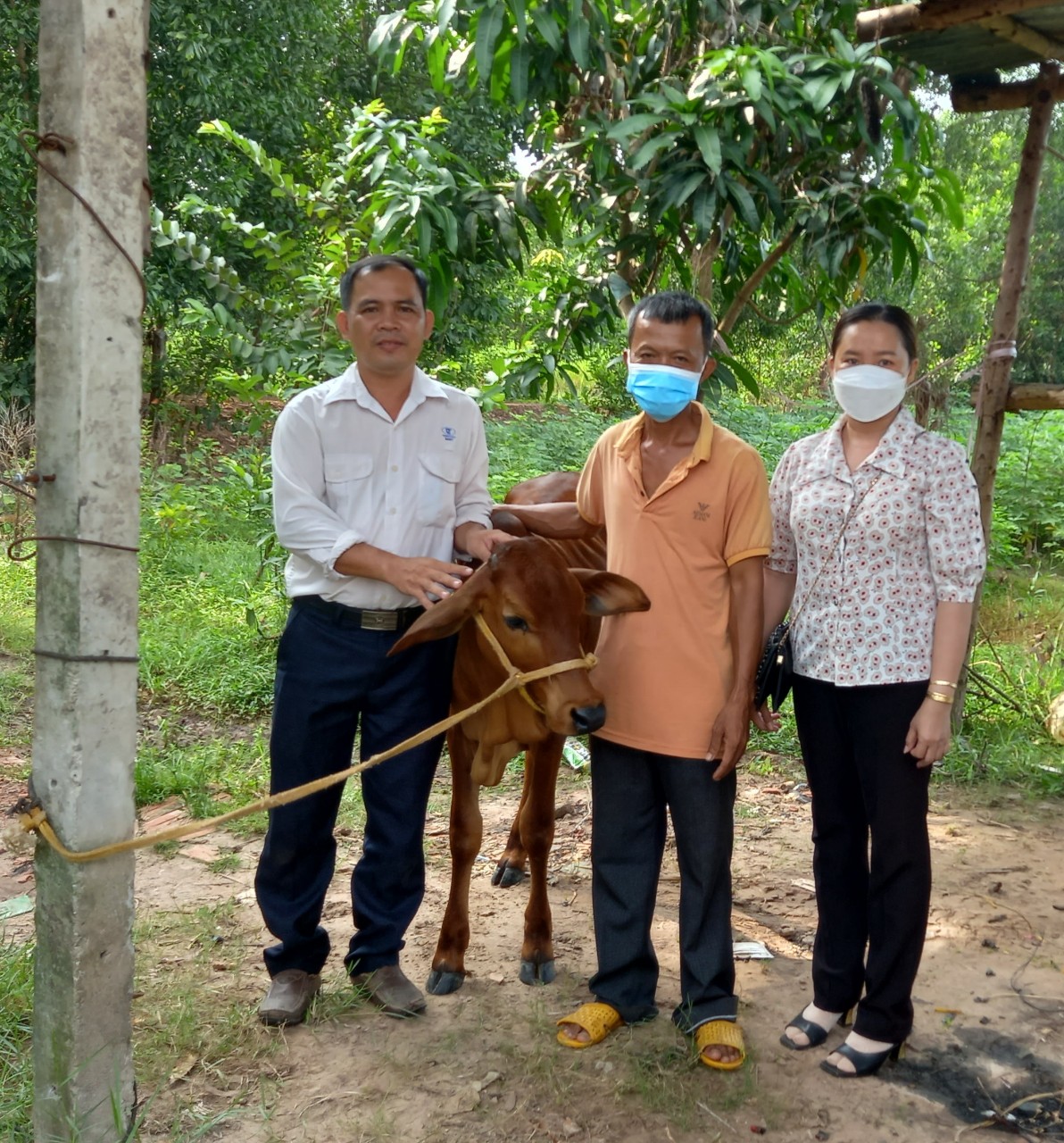 Hình Ông Nguyễn Ngọc Diễm Chủ tịch Hội CTĐ huyện trao con bò bê cho ông Thành