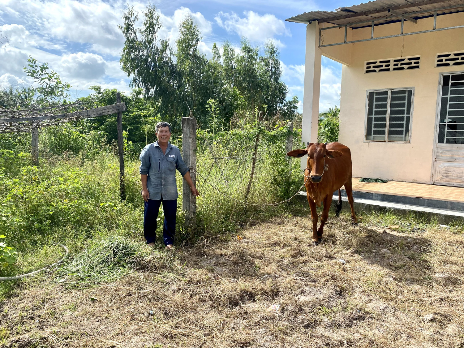 Hội Chữ thập đỏ huyện Tân Biên trao bò giống sinh sản cho hộ có hoàn cảnh khó khăn thị trấn Tân Biên